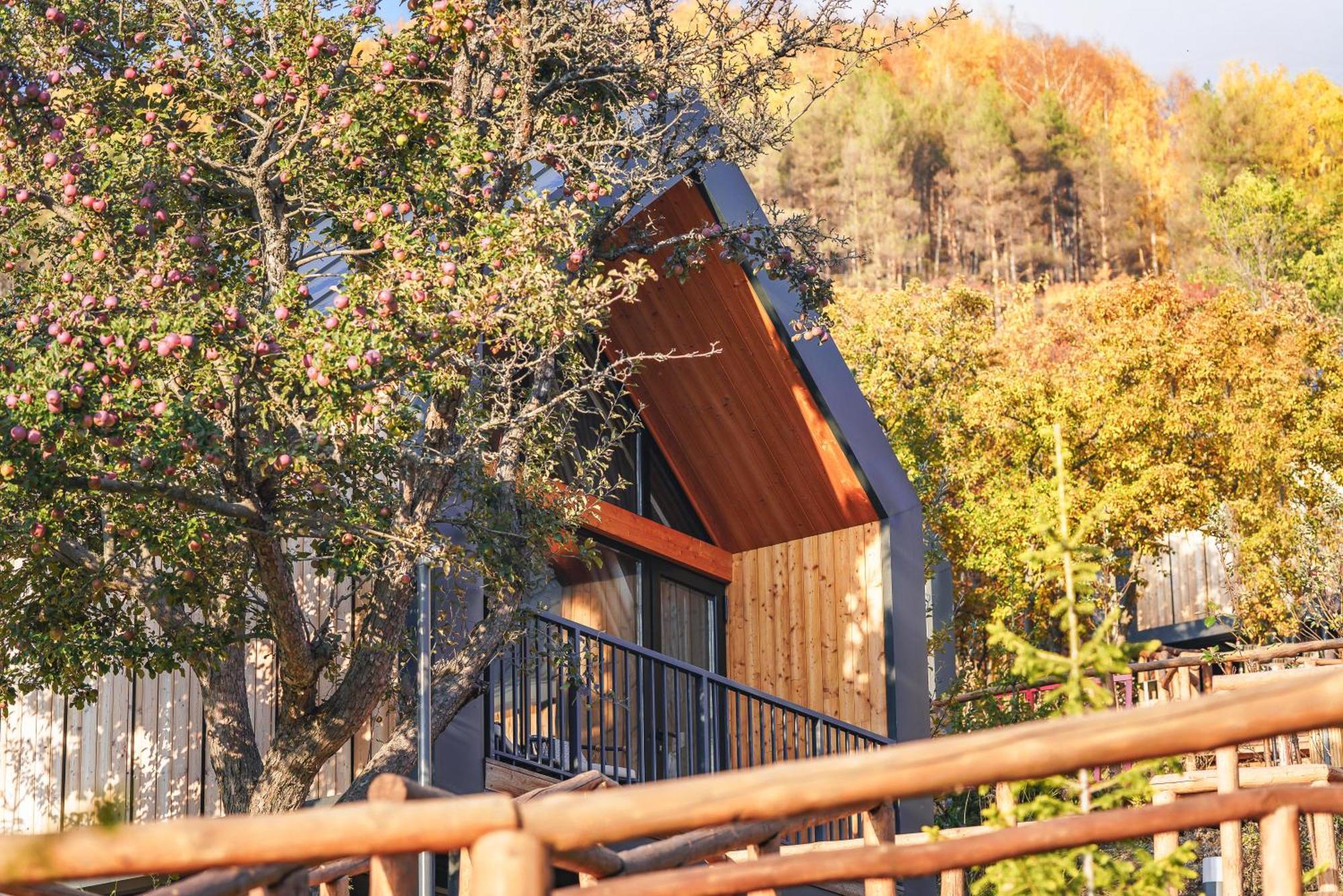 Qazaq Auyl Eco Hotel Алмати Екстер'єр фото